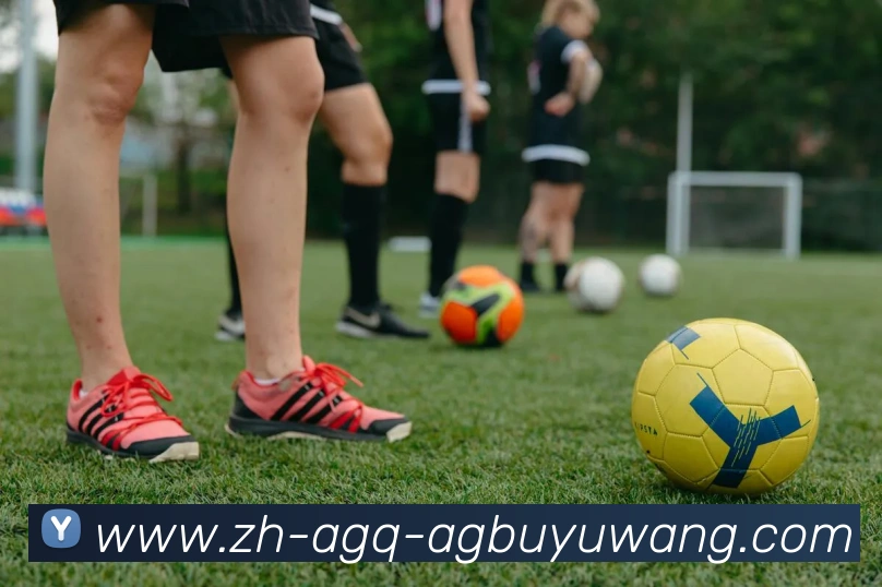 App Interface Preview