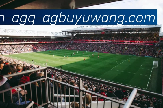 AG捕鱼王官网APP 封面图